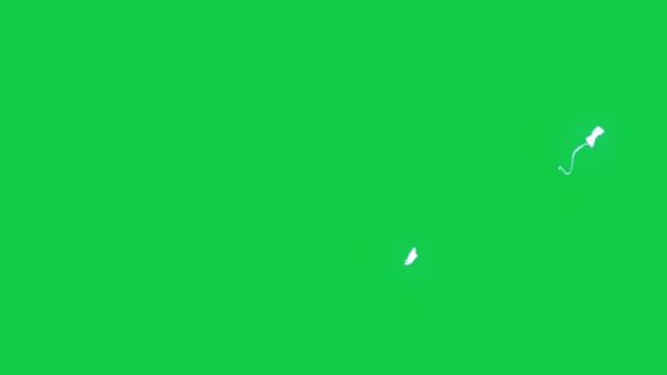 Elektryczny Efekt Pioruna Zielonym Tle Ekranu Uderzenie Pioruna Zielony Ekran — Wideo stockowe