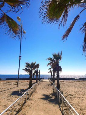 Denize ve palmiye ağaçlarına giden sahil yolu