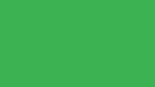 Conjunto Vetorial Ovos Páscoa Laranja Verde Uma Fileira Fundo Verde — Vídeo de Stock