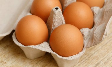 Beyaz arka planda tavuk yumurtası, taze turuncu tavuk yumurtası, sağlıklı yemek ve mutfak konsepti.