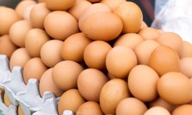 Beyaz arka planda tavuk yumurtası, taze turuncu tavuk yumurtası, sağlıklı yemek ve mutfak konsepti.