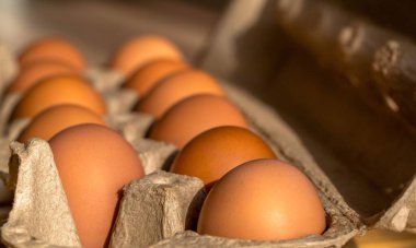 Beyaz arka planda tavuk yumurtası, taze turuncu tavuk yumurtası, sağlıklı yemek ve mutfak konsepti.