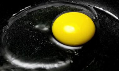 Yumurtanın sarısı siyah.