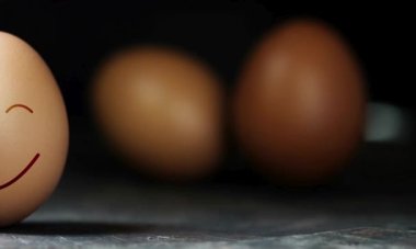 Mutlu Paskalyalar. Yuvada gülümseyen komik yumurtalar.