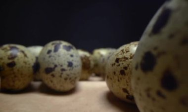 Tavuk şeklinde yumurtalar.