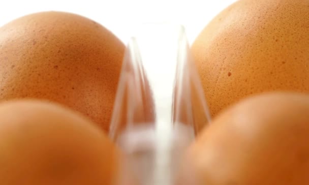 Яйця Коробці — стокове відео