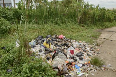 Yolun kenarındaki bir çöp yığını.