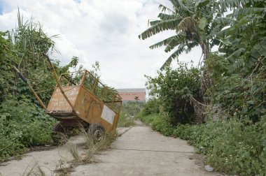 Toprak bir yolun üstünde duran bir çöp kamyonu.