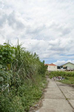 Bir sürü çöpün olduğu bir patika.