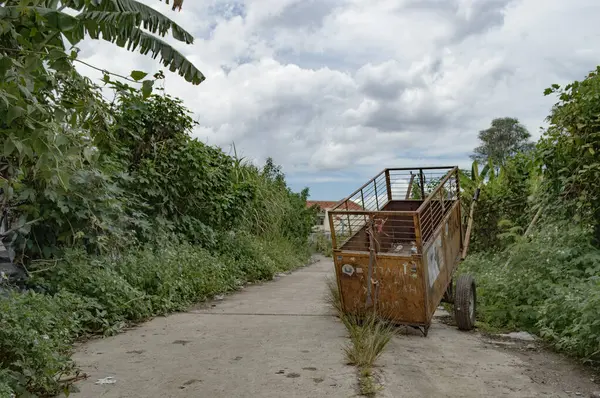 Ormanın yakınındaki toprak yolda park etmiş bir kamyon.