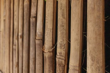 Dikey bambu duvar dokusu kırsal stil ve doğa tasarımı için kapatılıyor