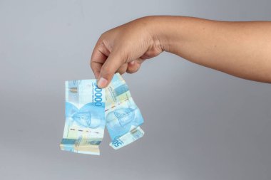 Finansal kriz ya da para zararını gösteren yırtık banknotlar.