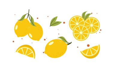 Taze, lezzetli, sulu ve ekşi çizgi film limonları. Sarı Turunçgil Toplama ve Dilimler Çizimi.