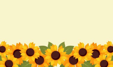 El Çizimi Doğal Ay Çiçeği Kare Vektörü. Banner, Arkaplan, Duvar Kağıdı, Tebrik Kartı, Poster ve Daha fazlası için Tasarım.