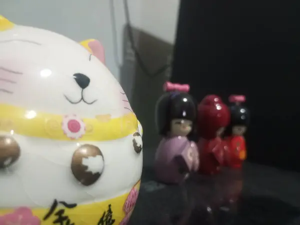 Beyaz ve siyah bir kedinin yakın çekimi.