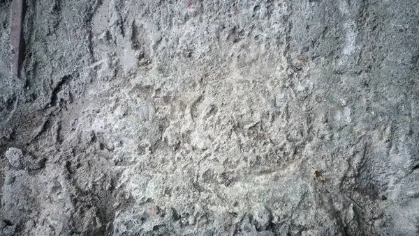 Eski ahşap duvarın dokusu