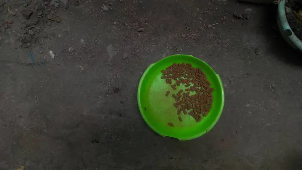 Tahta bir yüzey üzerinde güzel yeşil ve sarı bir çiçeğin yakın plan çekimi.