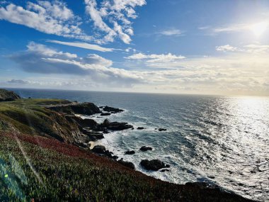 Pasifik Okyanusu, Kaliforniya 'da gün batımı. Bodega Körfezi CA, ABD