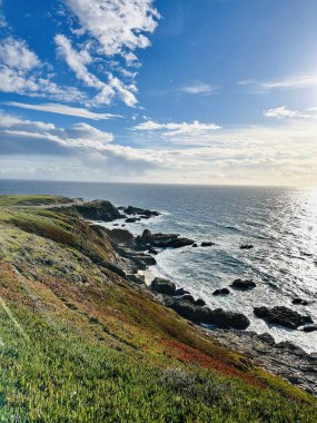 Pasifik Okyanusu, Kaliforniya 'da gün batımı. Bodega Körfezi CA, ABD