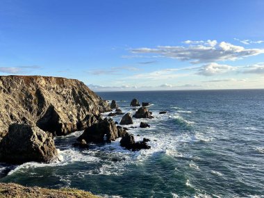Pasifik Okyanusu, Kaliforniya 'da gün batımı. Bodega Körfezi CA, ABD