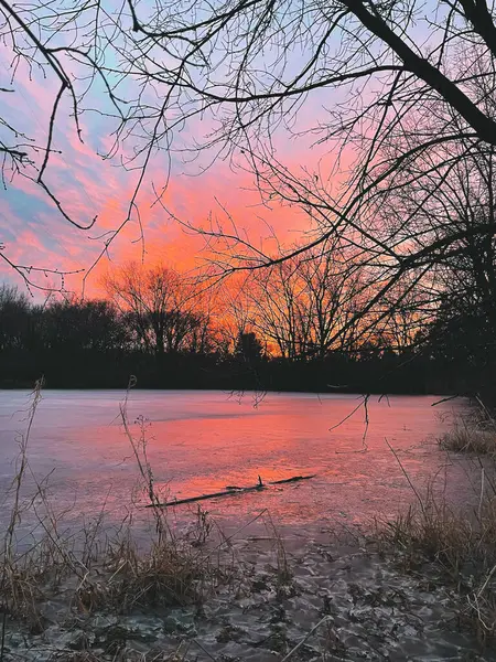 Wilson Park 'taki donmuş gölde yansıması olan güzel renkli bir gün batımı. Birleşik Devletler, Minnesota