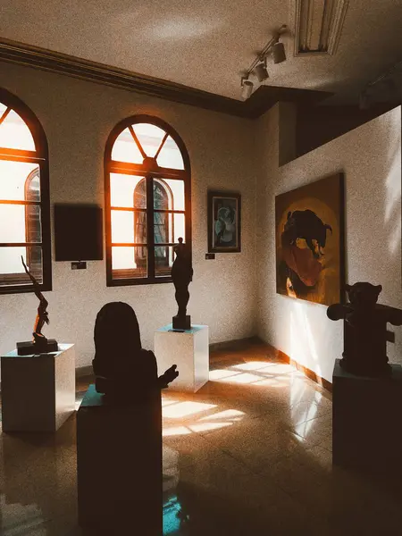 哥伦比亚Antioquia的Medellin 2024年3月8日 国家宫殿购物中心的艺术室 — 图库照片