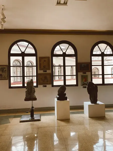 Medellin Antiokvia Kolumbie Března 2024 Umělecké Místnosti Národním Paláci Nákupního — Stock fotografie