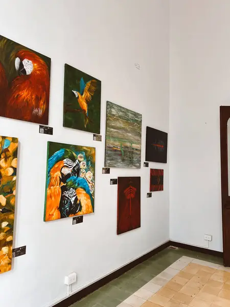 Medellin Antioquia Kolumbia Marca 2024 Pomieszczenia Artystyczne Narodowym Centrum Handlowym — Zdjęcie stockowe