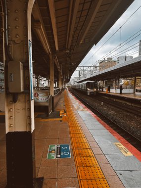 Tokyo, Japon. 30 Mart 2024: Şehrin modern mimarisi ve şehir manzarası