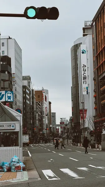 Tokyo, Japon. 30 Mart 2024: Şehrin modern mimarisi ve şehir manzarası