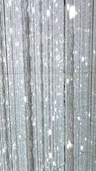 Tokyo, Japonya. 29 Mart 2024: Renkli ışıklarla ve yansımalı çiçeklerle takım laboratuvar müzesi.