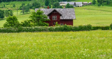 Slovenya, Avrupa 'daki Alp Vadisi' nde bir çayırın kenarındaki ahşap ev..