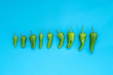 Mavi arka planda en büyükten en küçüğe yan yana yerleştirilmiş yeşil biber grubu. Yüksek kalite fotoğraf