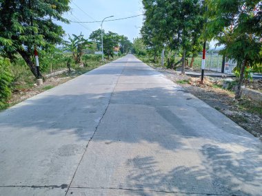 A quiet, sunlit road stretches into the distance, lined with tall trees and lush greenery. The concrete pavement is smooth and reflective, casting long shadows. clipart