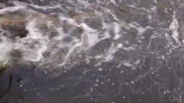 Çalkantılı sular sığ bir derede hızla akar, dalgalar ve beyazlar yaratır..