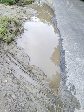 Yol kenarında yeşil çimlerin yanında bir yağmur suyu birikintisi oluştu..