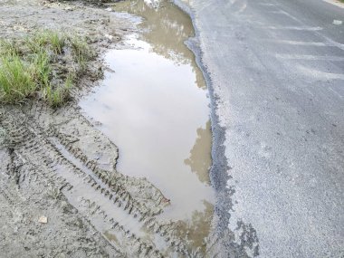 Yol kenarında yeşil çimlerin yanında bir yağmur suyu birikintisi oluştu..