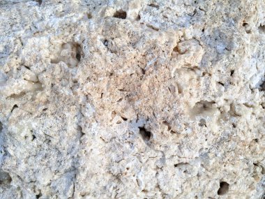 Yakın çekim, yıpranmış kireçtaşı kayasının dokulu yüzeyini ortaya çıkarır, gözenekli doğasını ve renk ve form olarak ince varyasyonlarını gösterir..