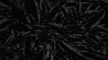 Kesişen çizgilerin desenli deseni ile siyah beyaz soyut arka plan, organik hareket ve karmaşıklığı çağrıştırıyor. Dijital olarak oluşturulmuş resim.