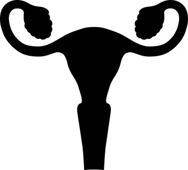 Bir kadın rahminin vektör illüstrasyon silüeti.