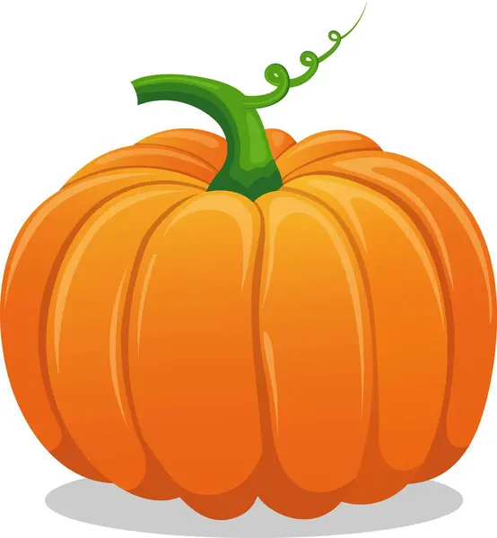 Balkabağının vektör çizimi. Sebzeler.