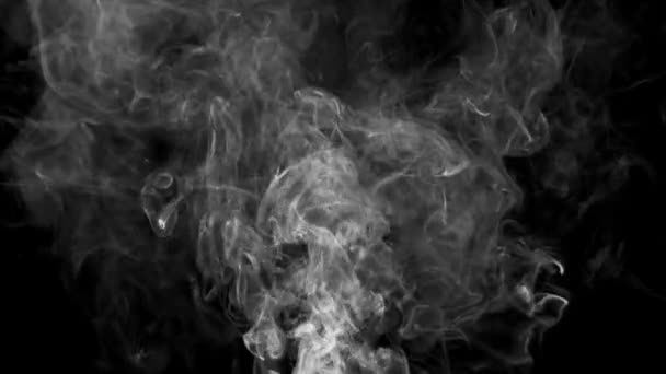黑色背景的美丽的白烟 — 图库视频影像
