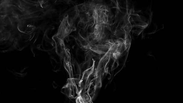 Beautiful White Smoke Black Background — Stock Video