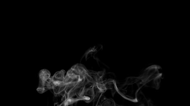 Όμορφος Λευκός Καπνός Μαύρο Φόντο — Αρχείο Βίντεο
