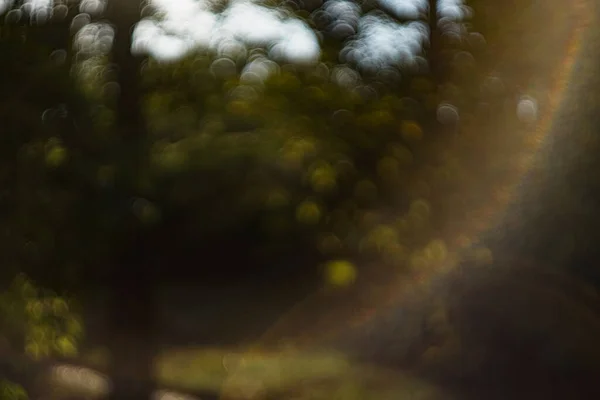 Abstract blurry nature background with swirly bokeh and lens flare