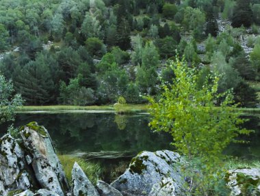 Boi, Aran Vadisi, İspanya, Avrupa, ormanlar, nehirler, şelaleler, dağlar. Yüksek kalite fotoğraf