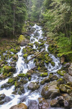Aran Vadisi, İspanya, ormanlar, nehirler, şelaleler, dağlar. Yüksek kalite fotoğraf