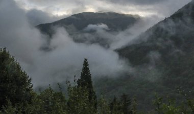 Boi, Aran Vadisi, İspanya, Avrupa, ormanlar, nehirler, şelaleler, dağlar. Yüksek kalite fotoğraf