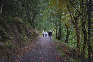 Garos, Arties, Aran Valley, İspanya, Avrupa, evler, kapılar, pencereler, ormanlar, nehirler, şelaleler, dağlar