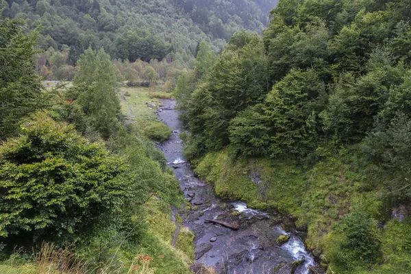 Arties, Aran Vadisi, İspanya, ormanlar, nehirler, şelaleler, dağlar. Yüksek kalite fotoğraf